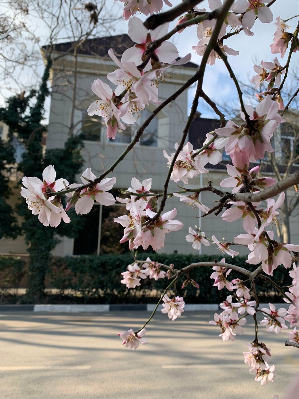 Гостиница Равенна Алушта-10