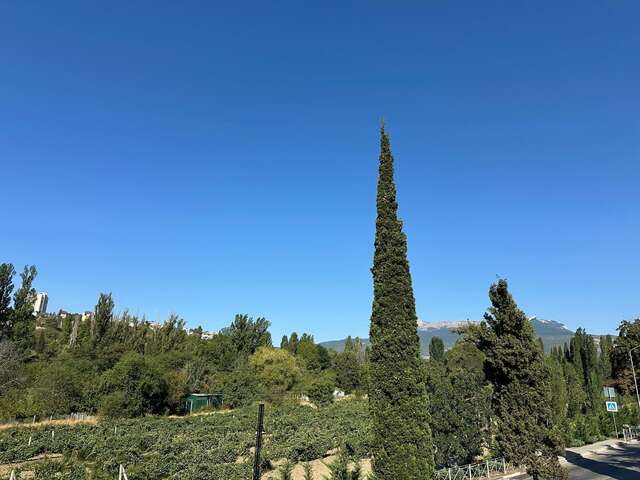 Гостиница Равенна Алушта-166